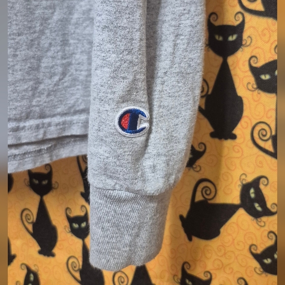 Champion Gray Florida Atlantic University Long Sleeve T-Shirt - Picture 5 of 8